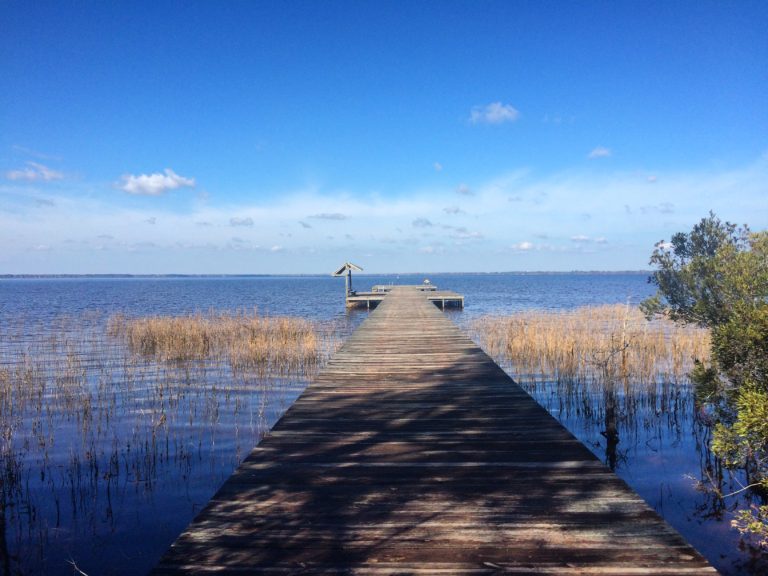 Lake Waccamaw State Park