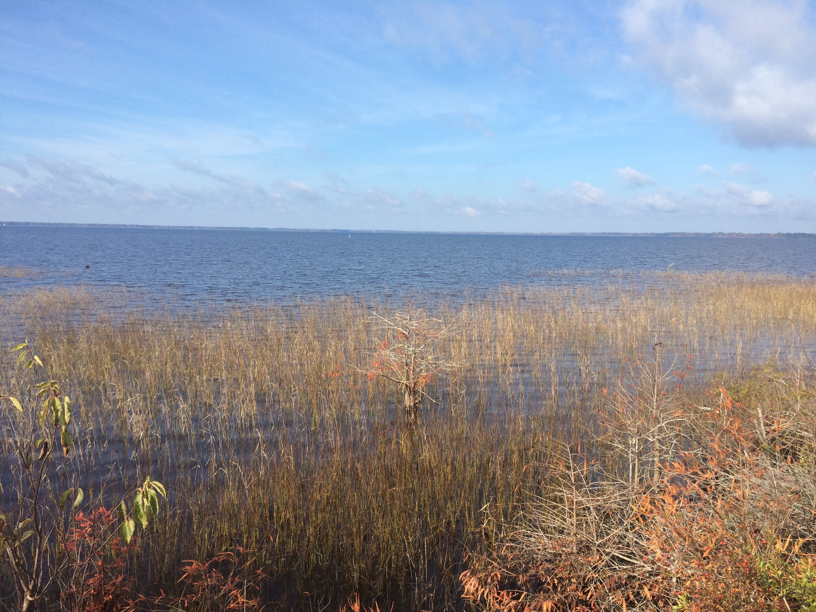 Lake Waccamaw State Park 