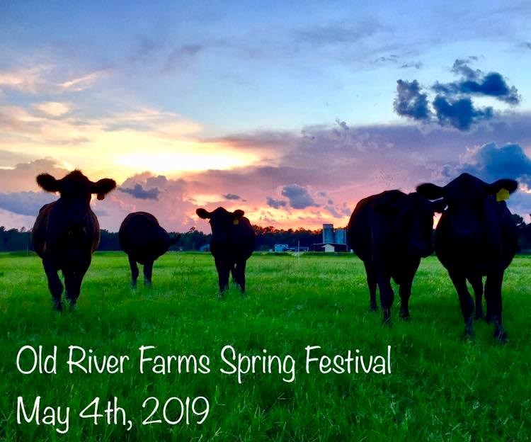 Spring River Festival